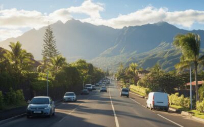 Location longue durée de véhicules professionnels : L’expertise Systemlease.fr à La Réunion